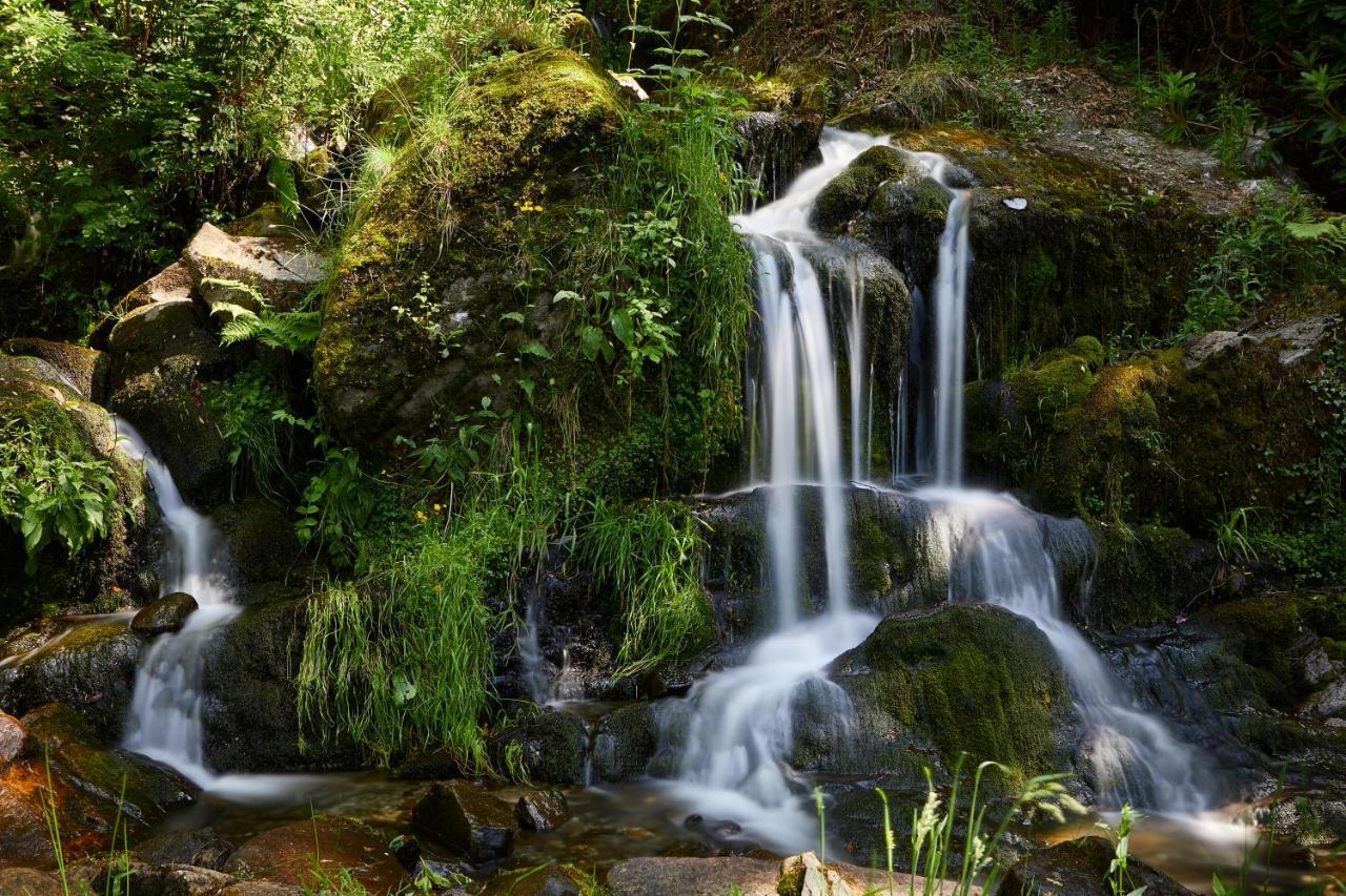 Macdonald Forest Hills Hotel & Spa Aberfoyle  Εξωτερικό φωτογραφία